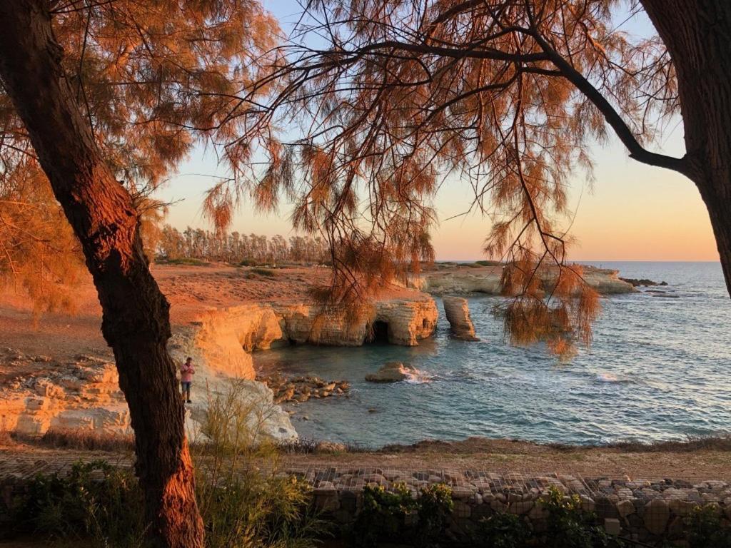 Cozy Apartment In Paphos Beautiful Complex 외부 사진